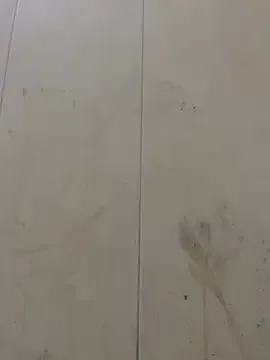CDNSCOCPL 免费直播 xxx 摄像头