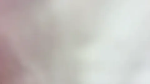 MasterrKittyy मुफ्त लाइव xxx कैम्स
