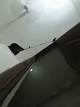 Neha-ji δωρεάν live xxx cams