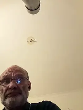 ShyDave81 cam xxx live gratis