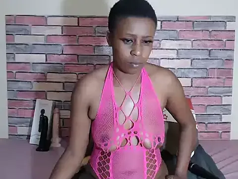 wildasjasmin cams xxx ao vivo grátis